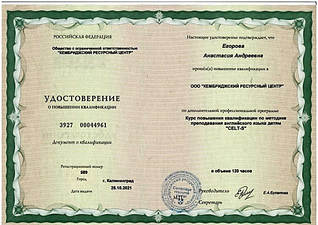Сертификат Егорова Анастасия