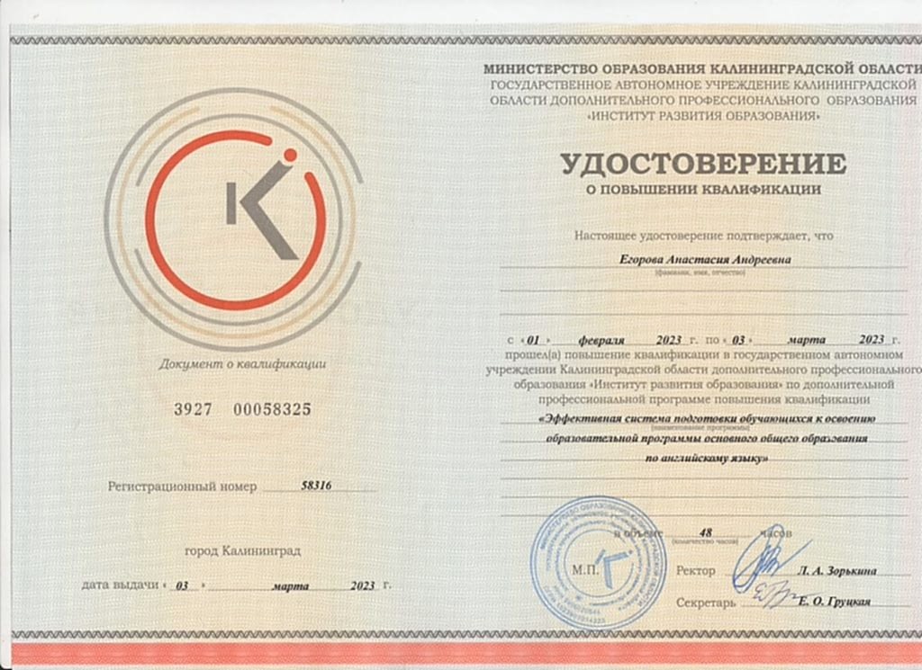 Сертификат Егорова Анастасия