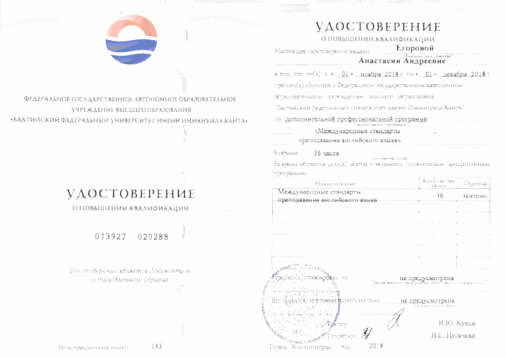 Сертификат Егорова Анастасия
