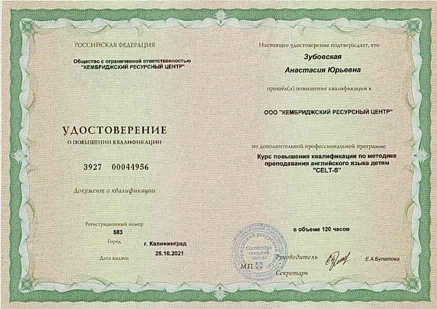 Сертификат Зубовская Анастасия