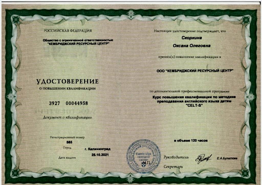 Сертификат Скоркина Оксана